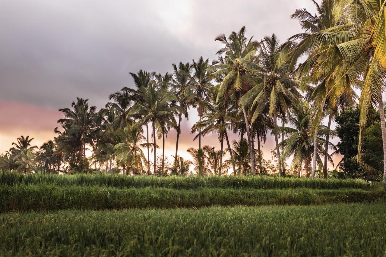 The Luxe Ubud Esterno foto
